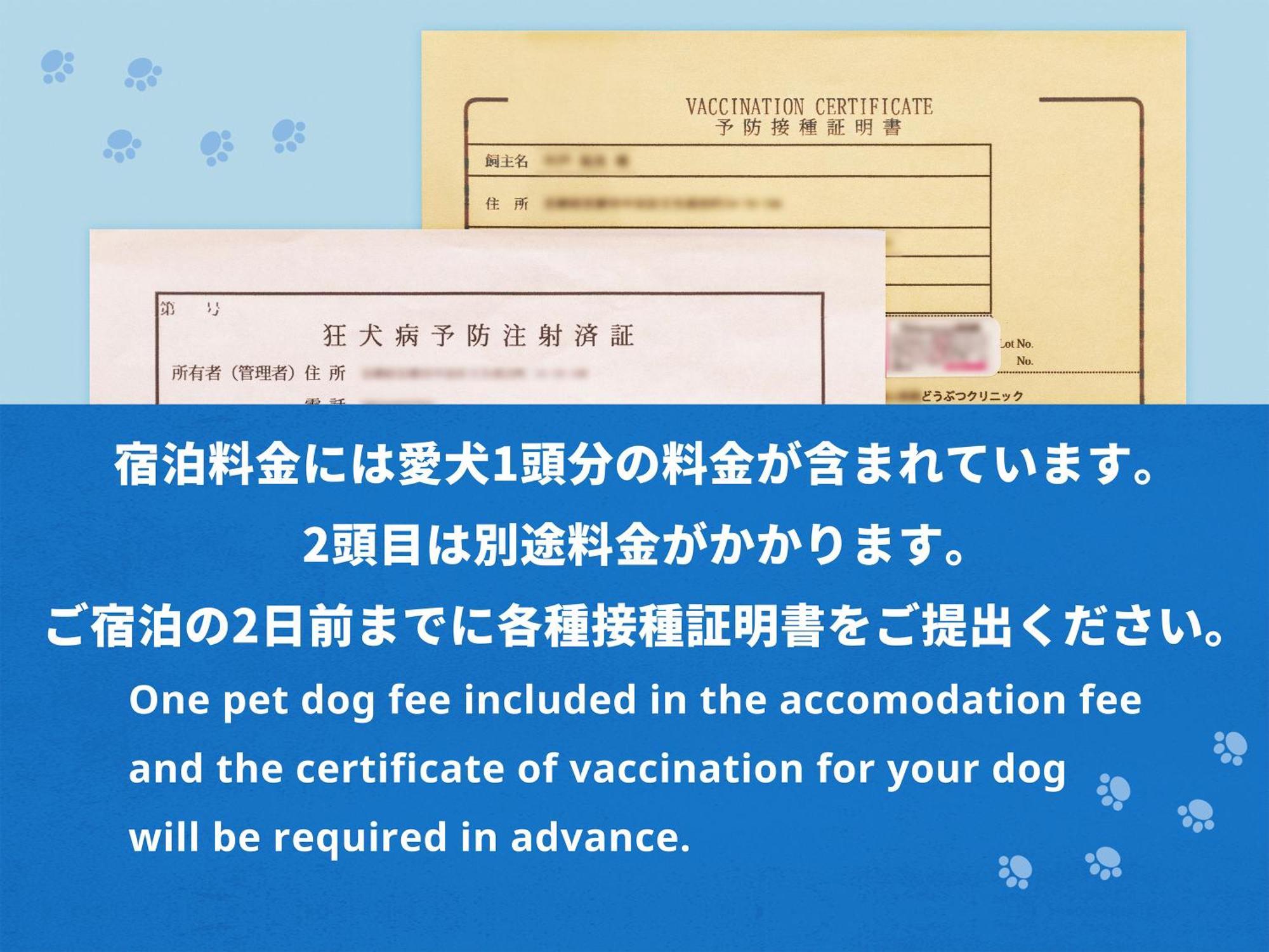 Hotel Anddoggy Kyoto Nijo Room photo