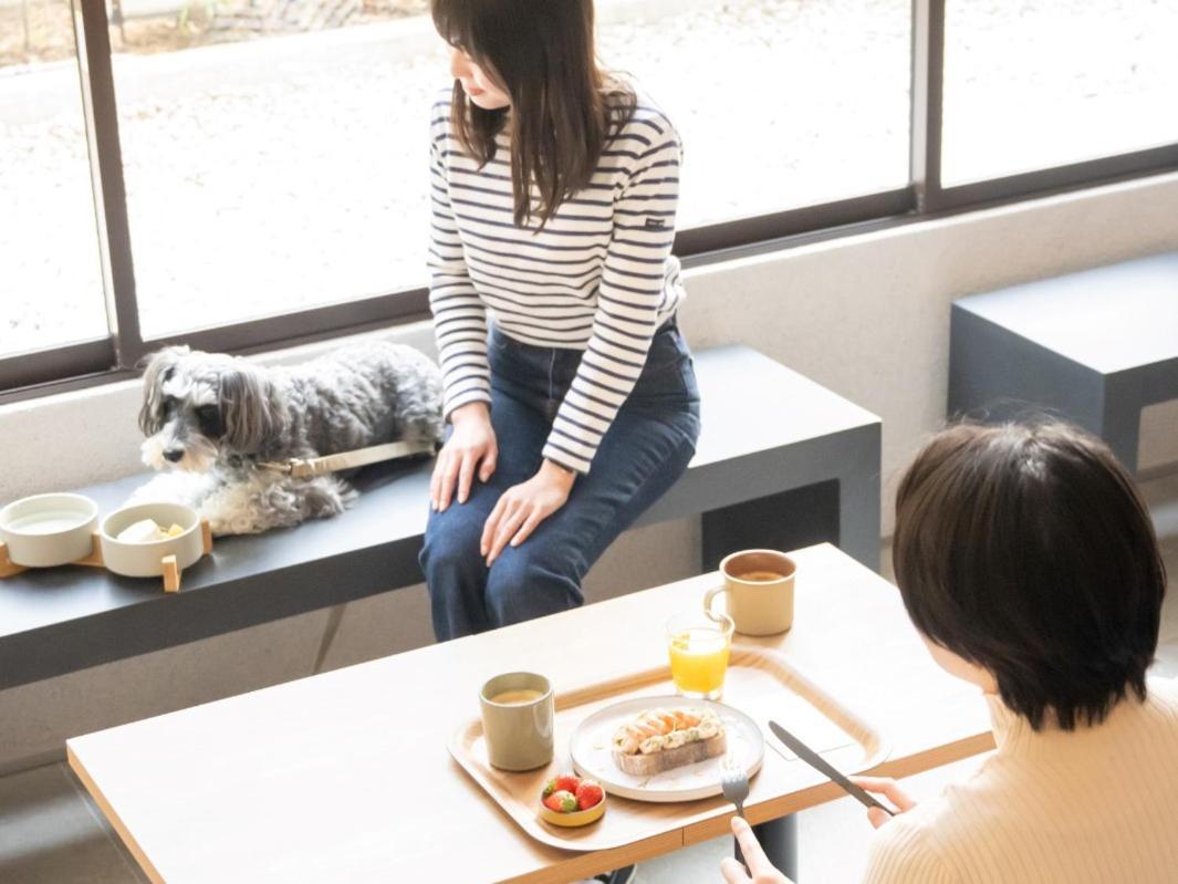 Hotel Anddoggy Kyoto Nijo Exterior photo