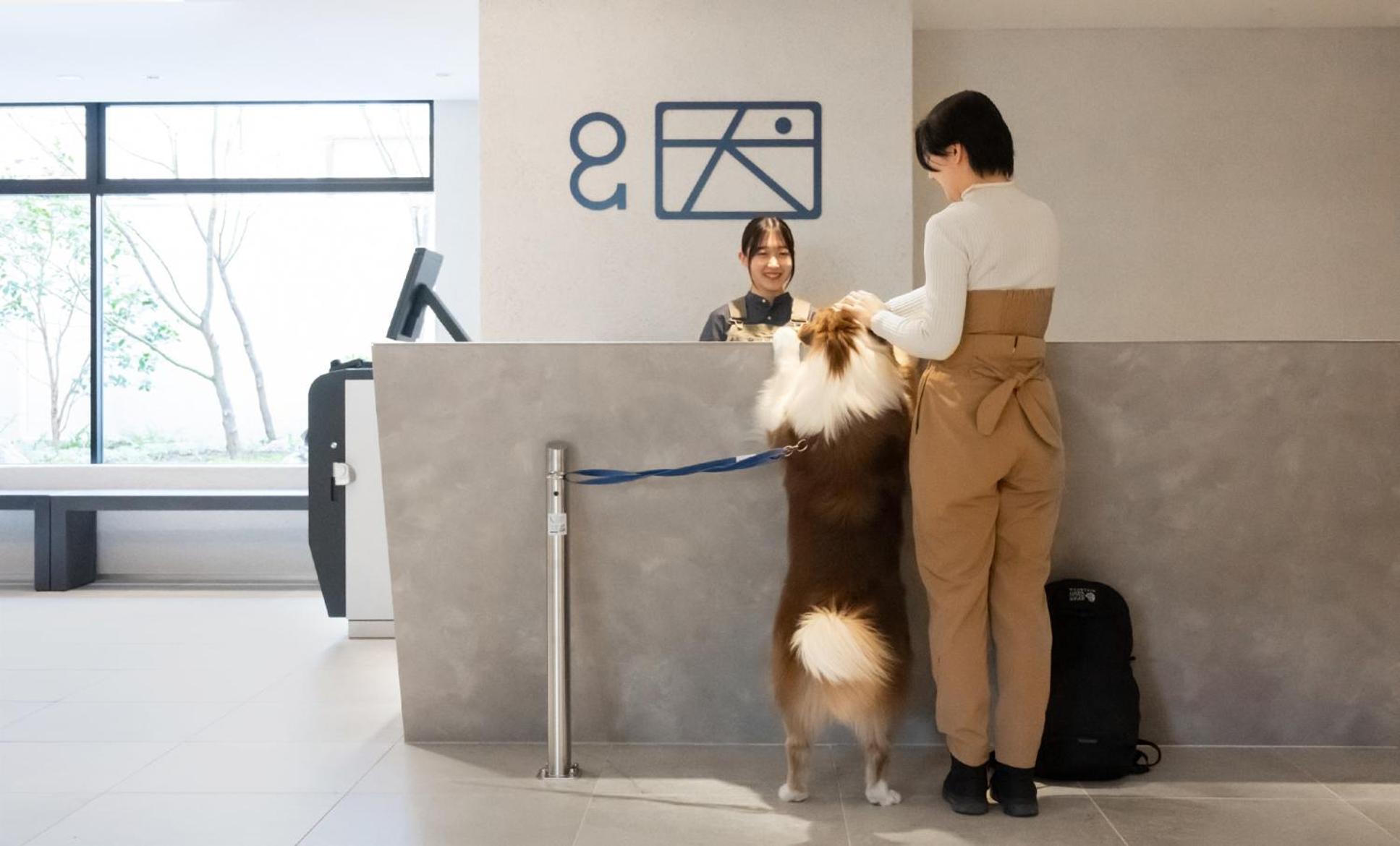 Hotel Anddoggy Kyoto Nijo Exterior photo
