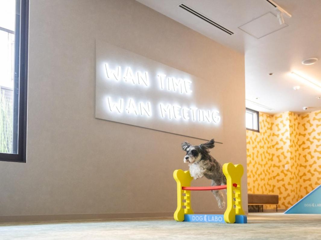 Hotel Anddoggy Kyoto Nijo Exterior photo