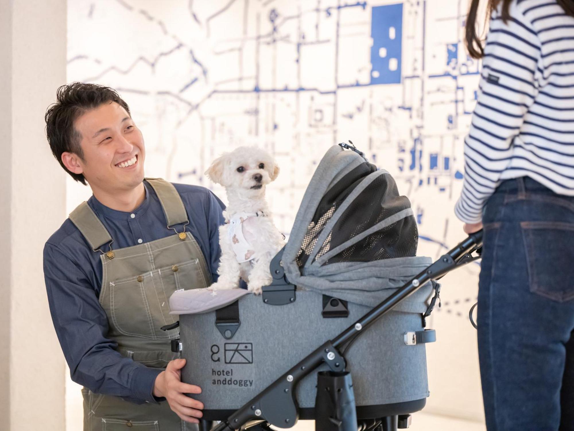 Hotel Anddoggy Kyoto Nijo Exterior photo