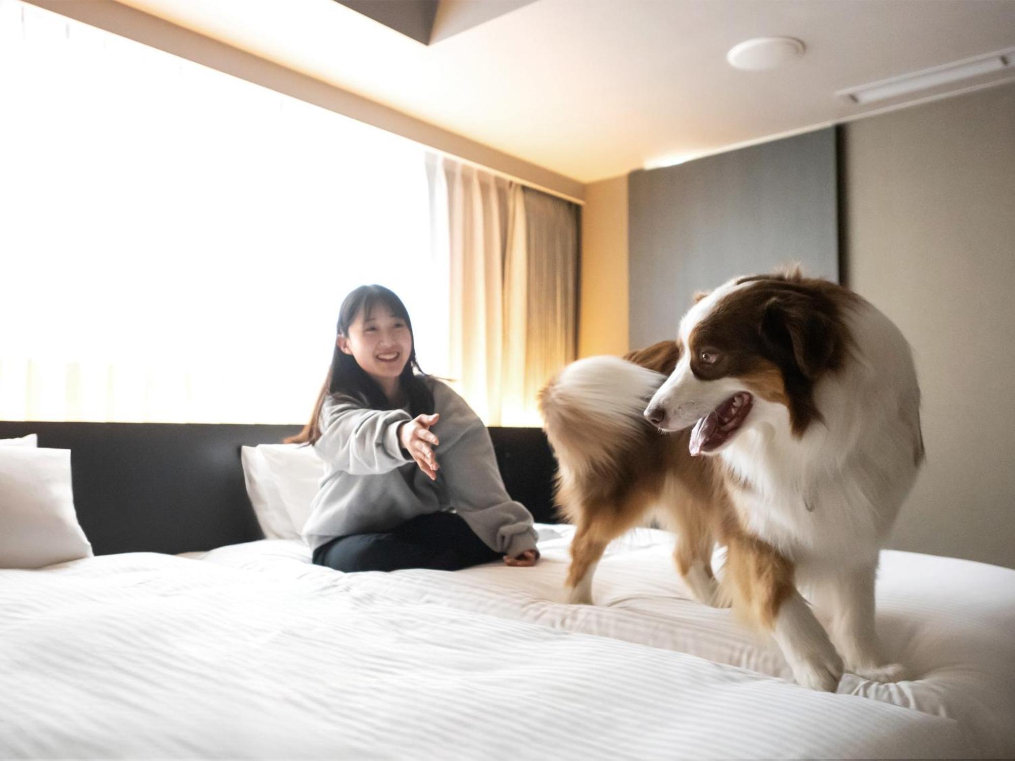 Hotel Anddoggy Kyoto Nijo Exterior photo